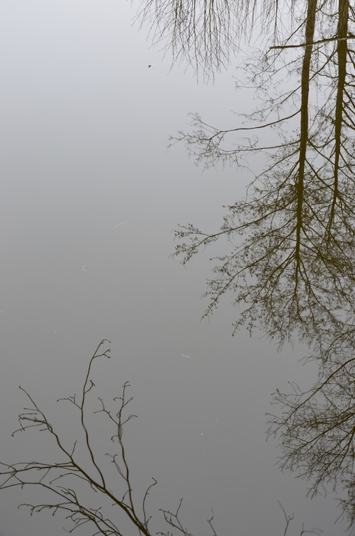 2018-04-14 Copenhagen/Utterslev Mose/DSC_0072.JPG